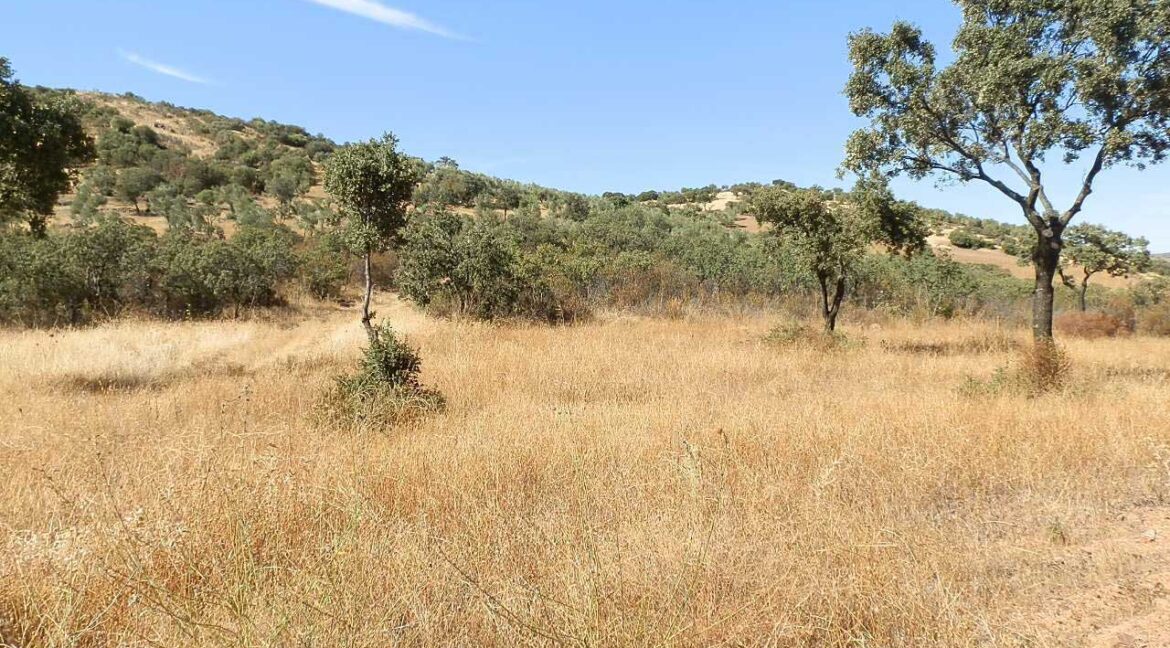 674_fincas-en-venta-08