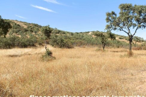 674_fincas-en-venta-08