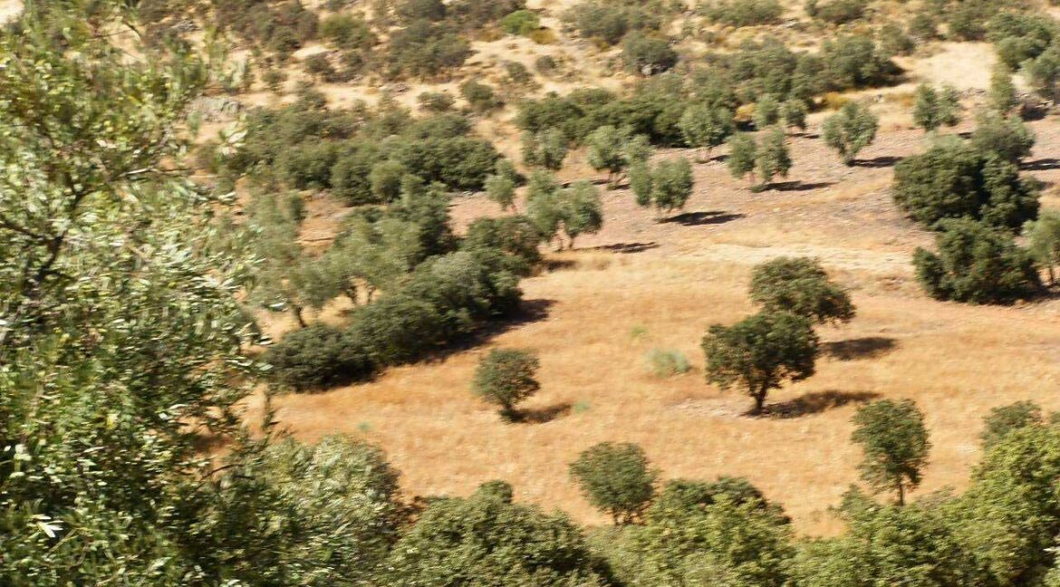 674_fincas-en-venta-13
