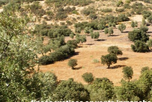 674_fincas-en-venta-13