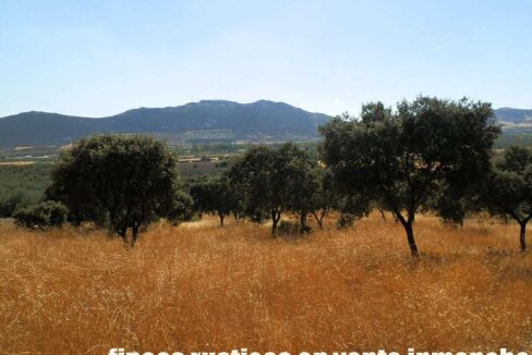 674_fincas-en-venta-18