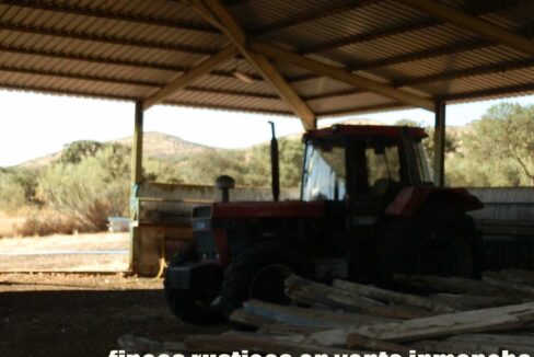 674_fincas-en-venta-28