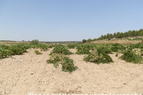 679_fincas-en-venta-001