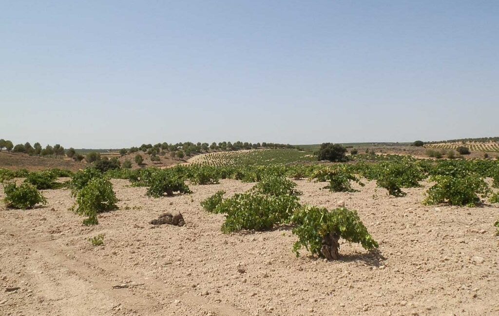 679_fincas-en-venta-003