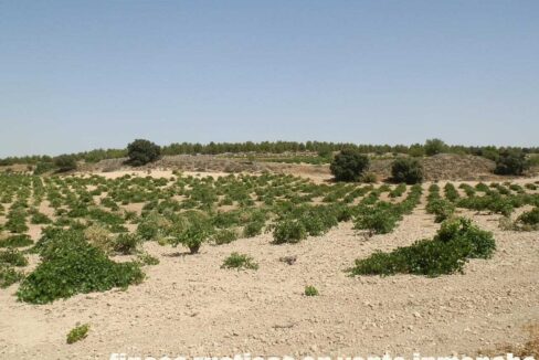 679_fincas-en-venta-006