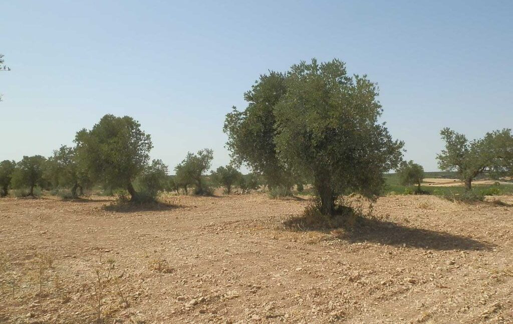 679_fincas-en-venta-021