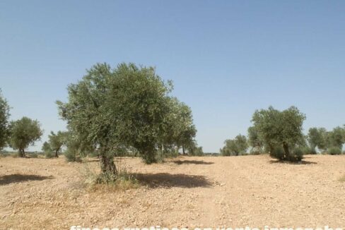 679_fincas-en-venta-024