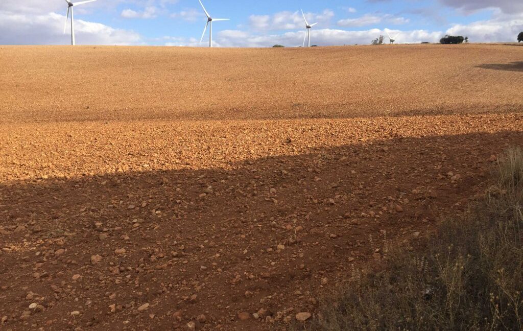 681_fincas-en-venta-11
