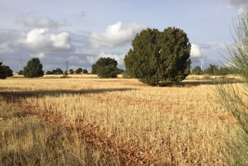 681_fincas-en-venta-25