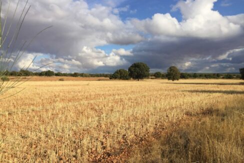 681_fincas-en-venta-26