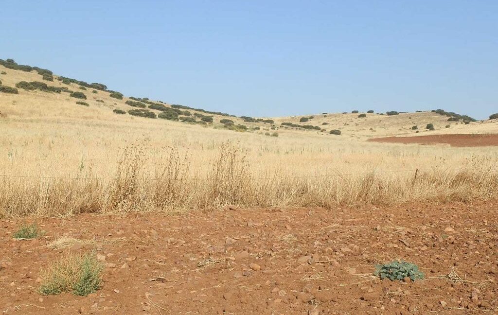 685_fincas-en-venta-047