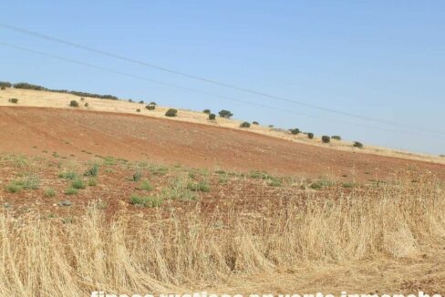 685_fincas-en-venta-050