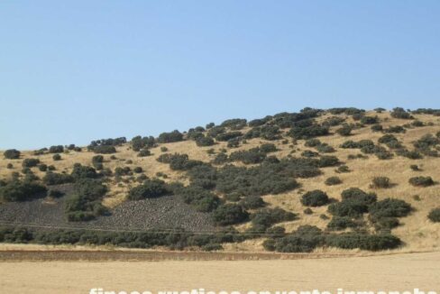 685_fincas-en-venta-053