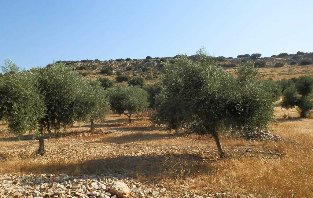 685_fincas-en-venta-062