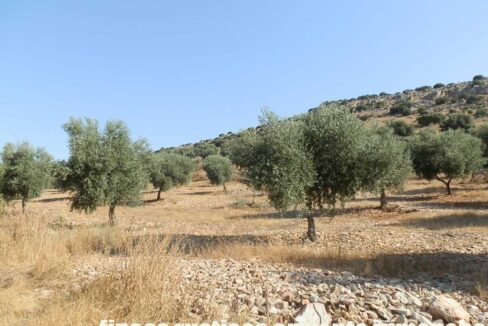 685_fincas-en-venta-063