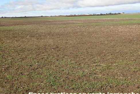 687_fincas-en-venta-104