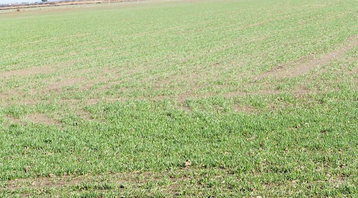 687_fincas-en-venta-113