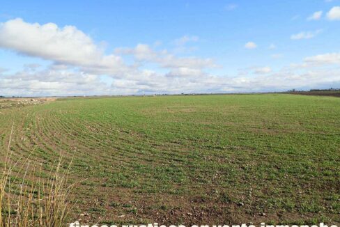 687_fincas-en-venta-114