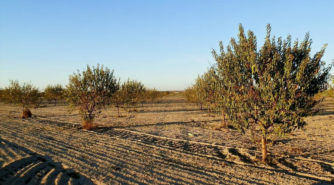 687_fincas-en-venta-132