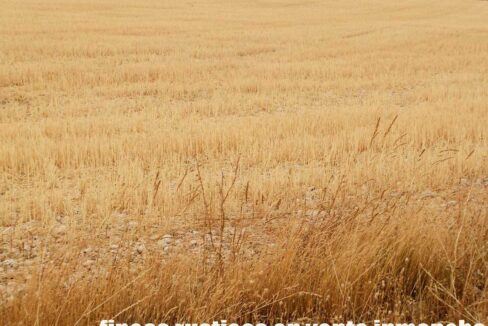 688_fincas-en-venta-72