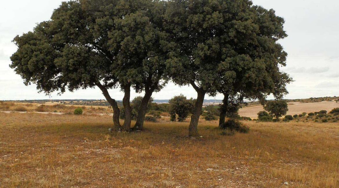 688_fincas-en-venta-74