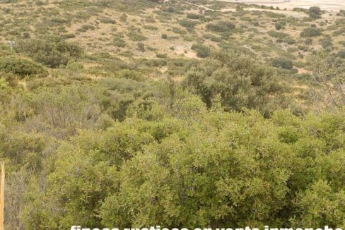 688_fincas-en-venta-79