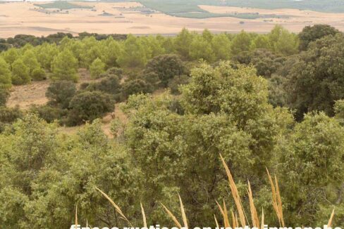688_fincas-en-venta-80