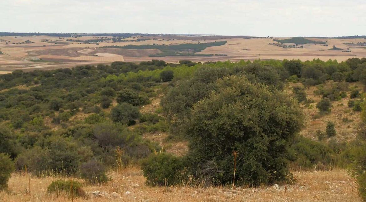 688_fincas-en-venta-82