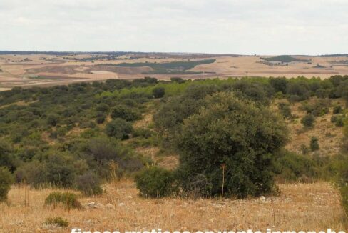 688_fincas-en-venta-82