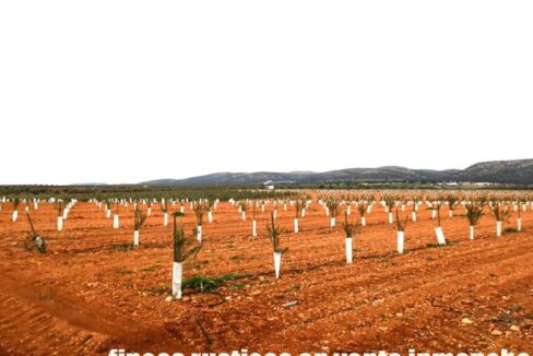 692_fincas-en-venta-0009