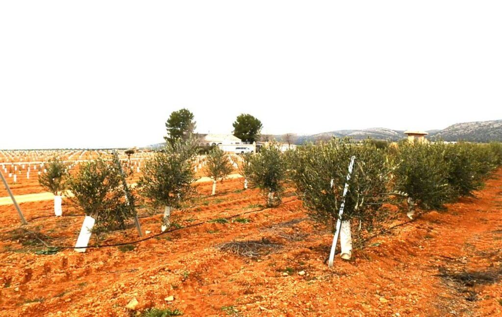 692_fincas-en-venta-0042