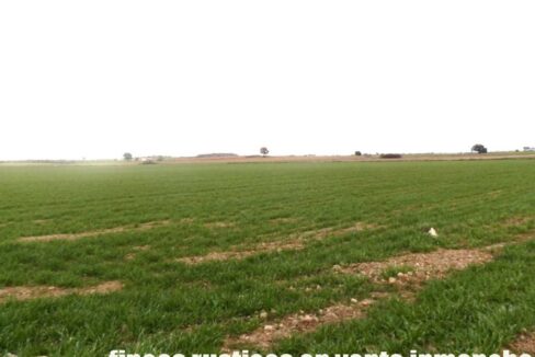 694_fincas-en-venta-033