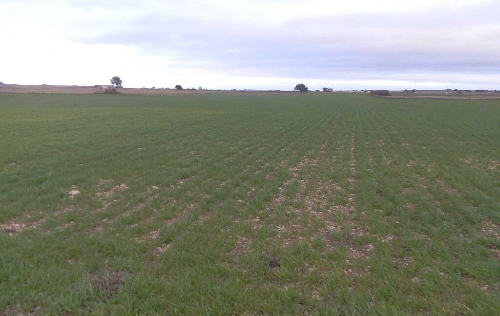 694_fincas-en-venta-036