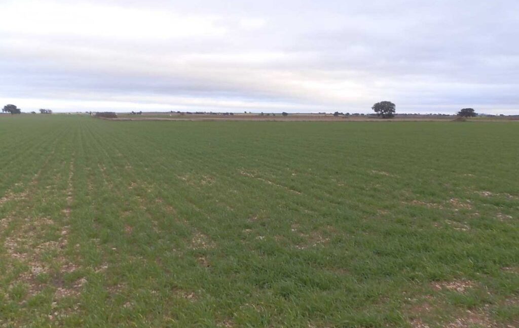 694_fincas-en-venta-037