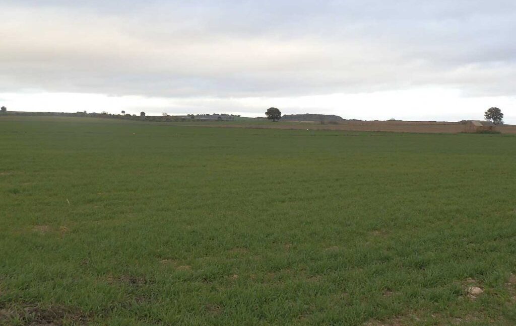 694_fincas-en-venta-038