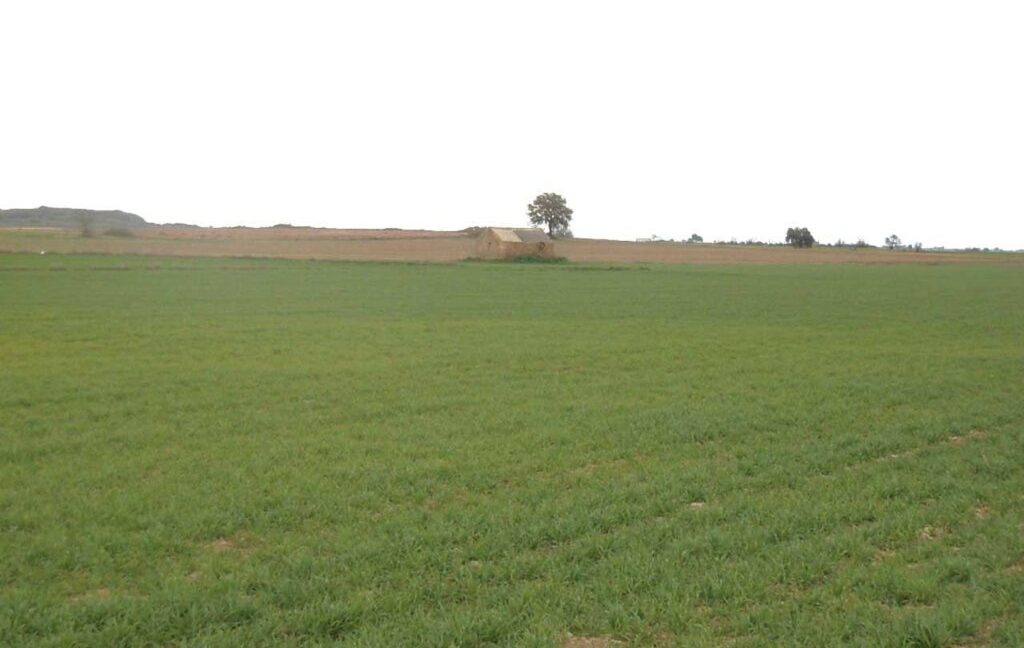 694_fincas-en-venta-039