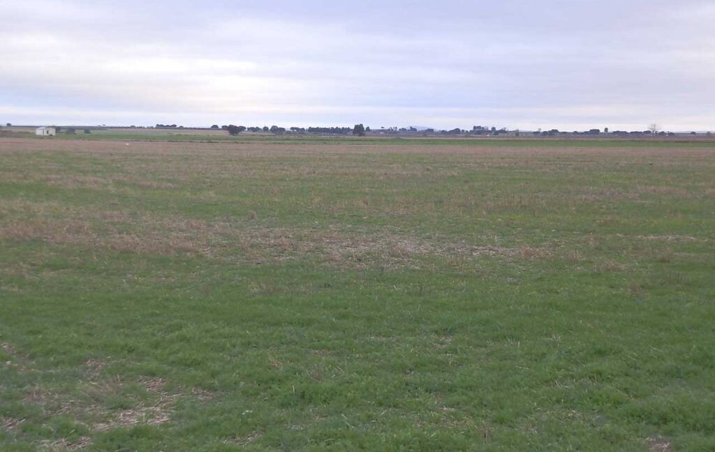 694_fincas-en-venta-041