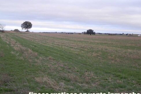 694_fincas-en-venta-042