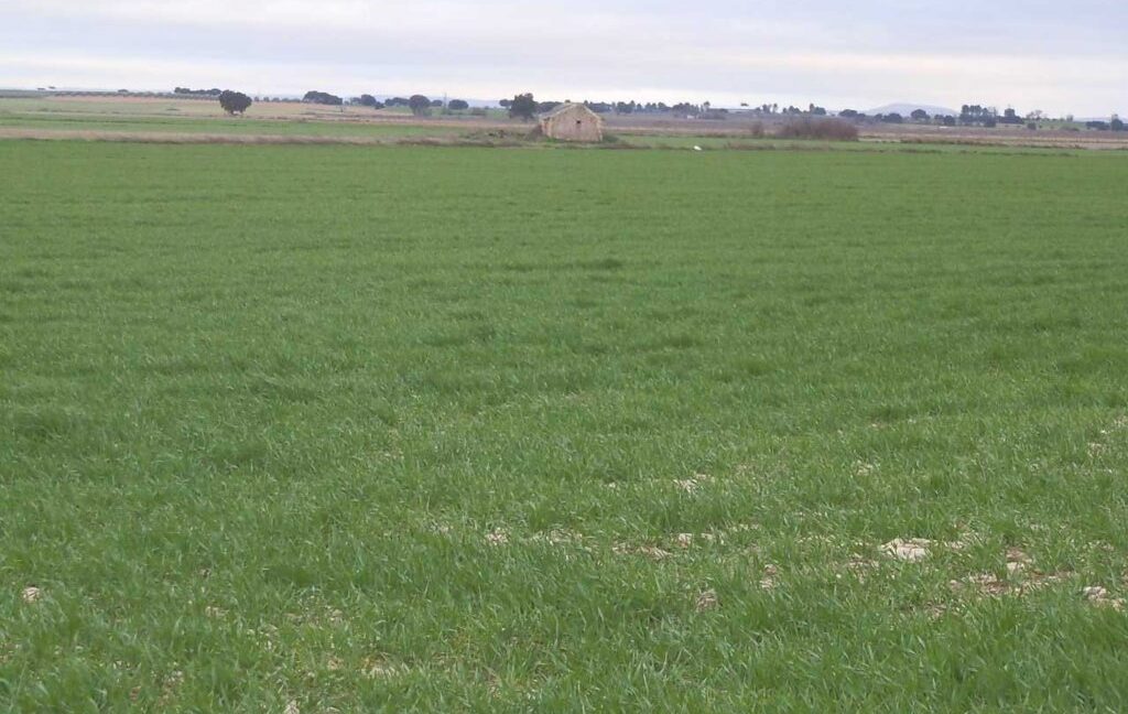 694_fincas-en-venta-046