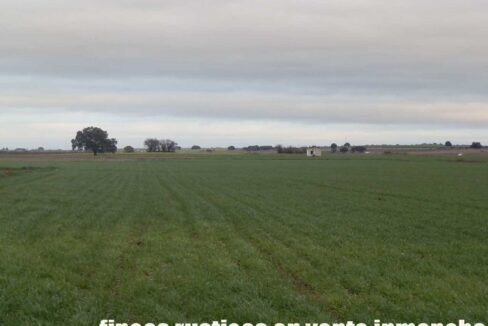 694_fincas-en-venta-048