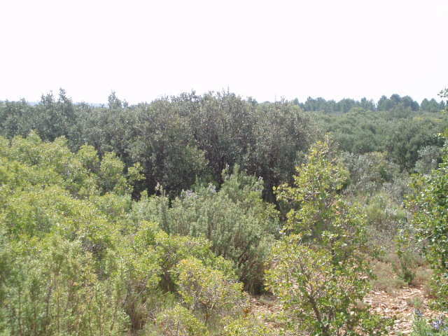 697_fincas-en-venta-10