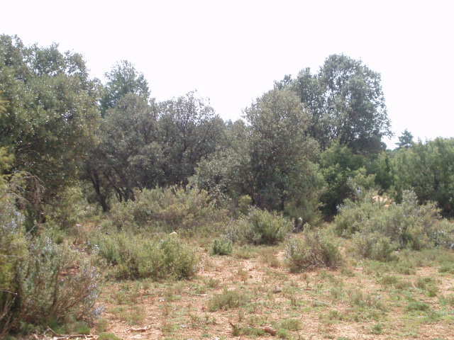 697_fincas-en-venta-11