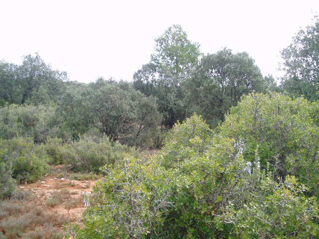 697_fincas-en-venta-12