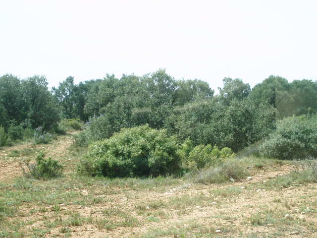 697_fincas-en-venta-14