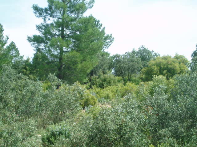 697_fincas-en-venta-15