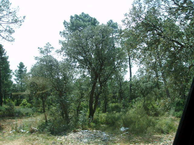 697_fincas-en-venta-16