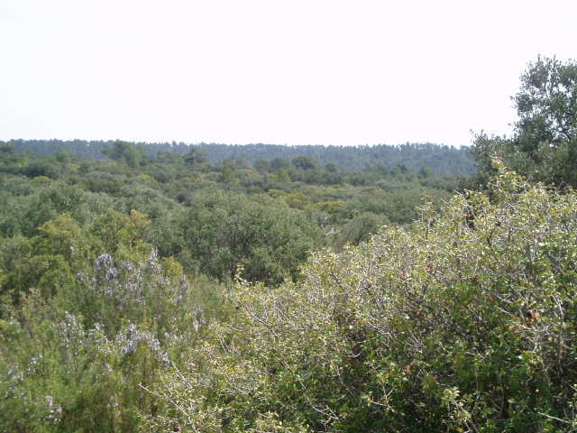 697_fincas-en-venta-18