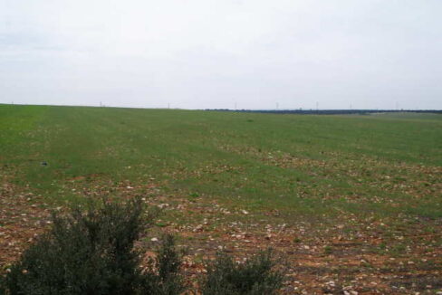 697_fincas-en-venta-20