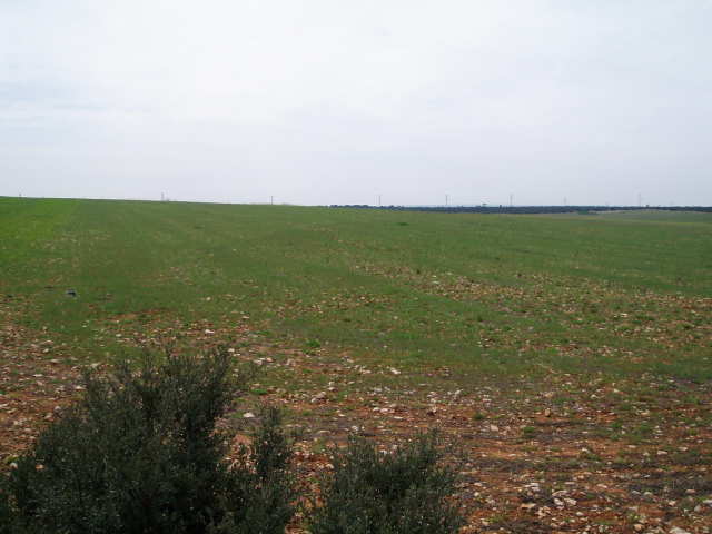 697_fincas-en-venta-20