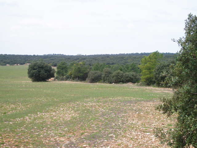 697_fincas-en-venta-21